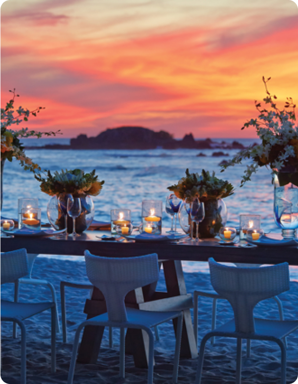 Punta Mita - Commit Action